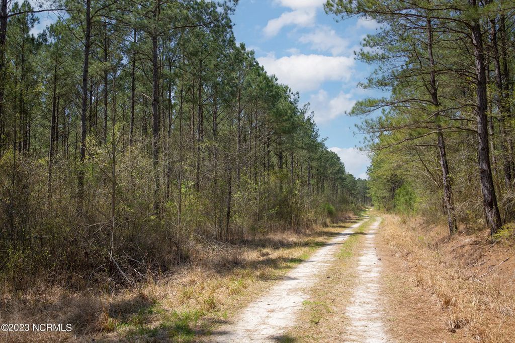 0 Gum Swamp Church Road, Greenville