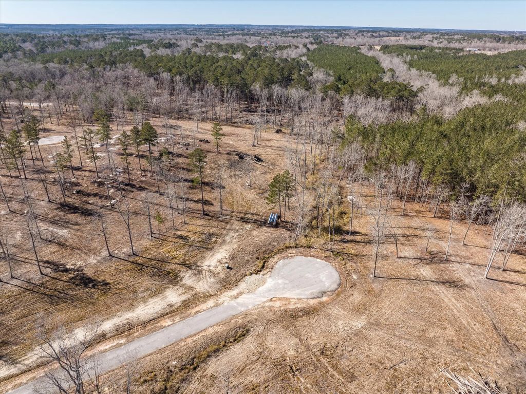 167 Alcovy Road, McDuffie