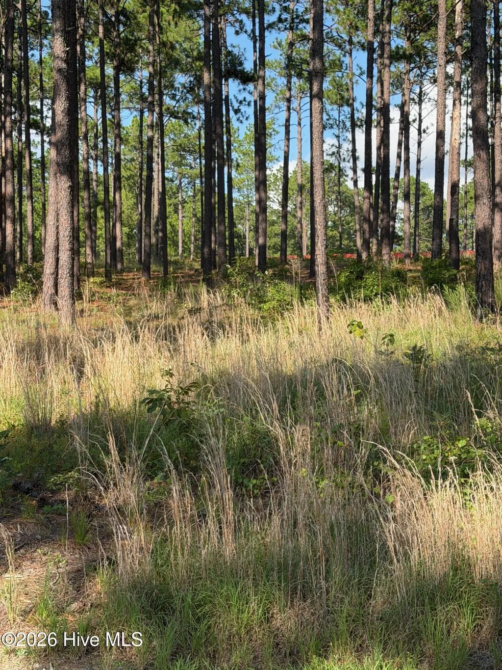 481 N Fort Bragg Road, Southern Pines