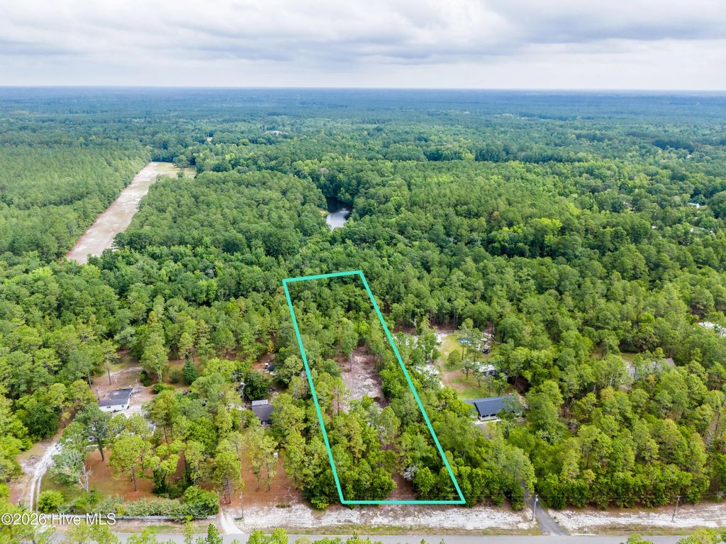 0 Bear Branch Drive, Currie
