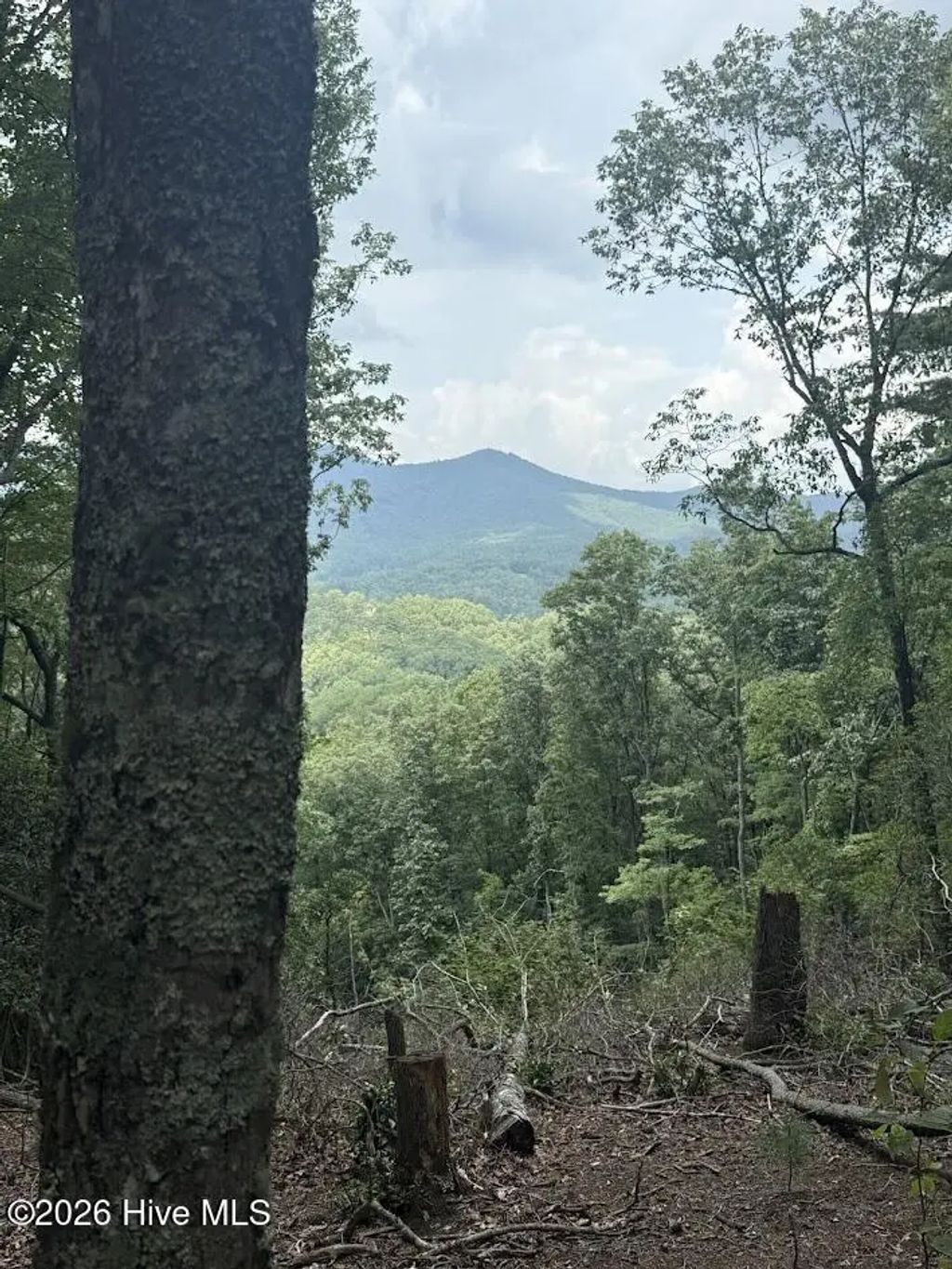 Lot 43 Pine Cove Lane, Murphy