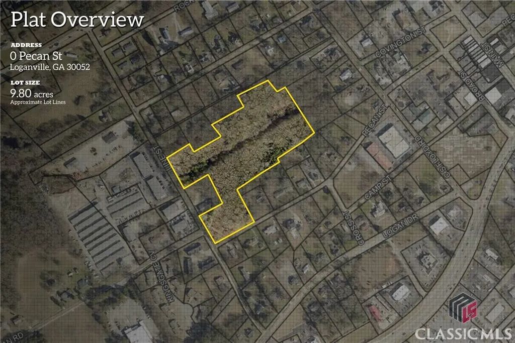 0 Line Street, Loganville