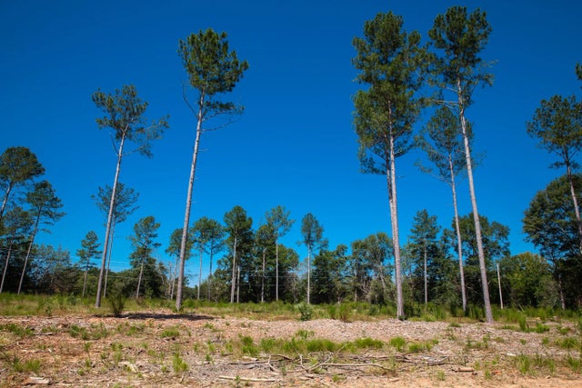 510 Rabbit Pen Drive, 