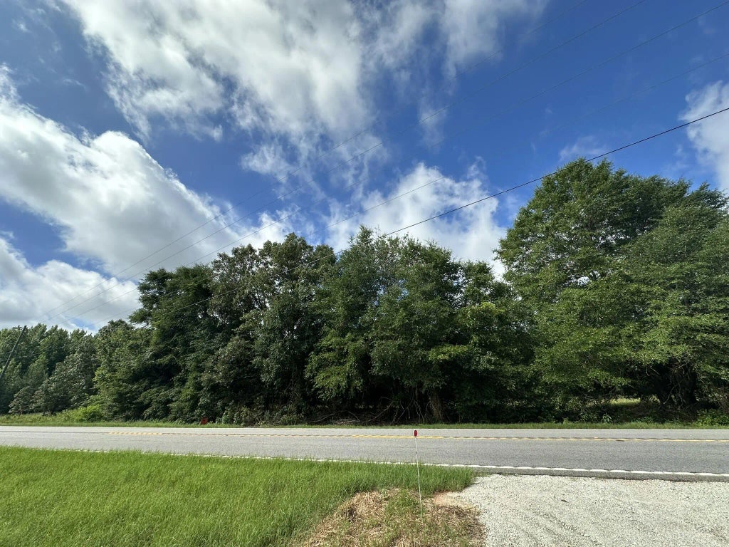 Lot E S Ga Highway 23, Waynesboro