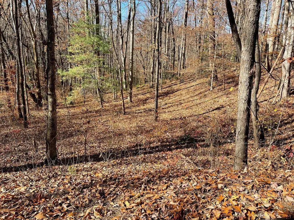 Tbd Ashe Knob Drive, Hayesville