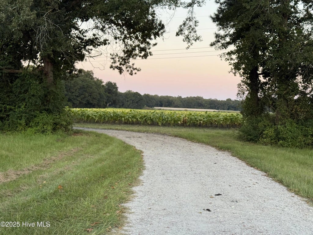 3591 Off Sr 1337 On River, Pollocksville