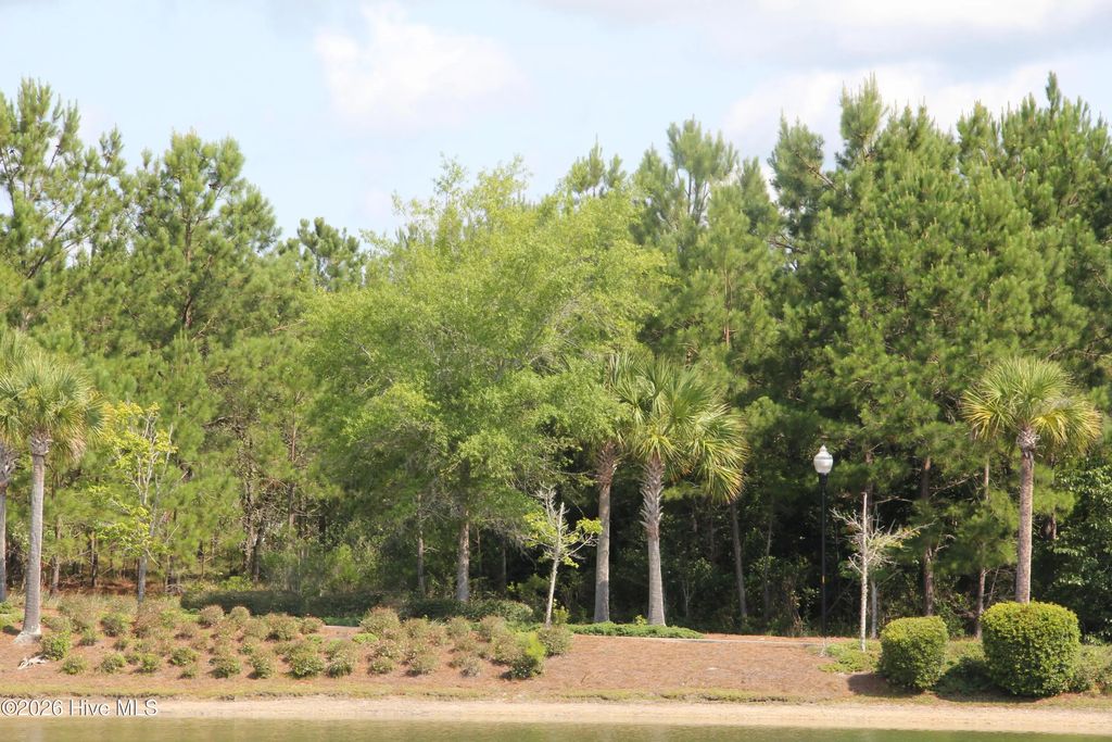 3009 Arundel Hill Sw, Shallotte
