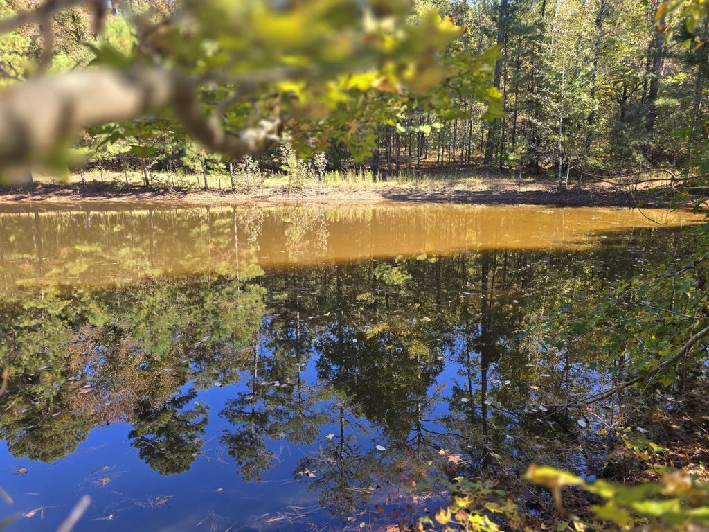 7501 Rainey Morris Road, 