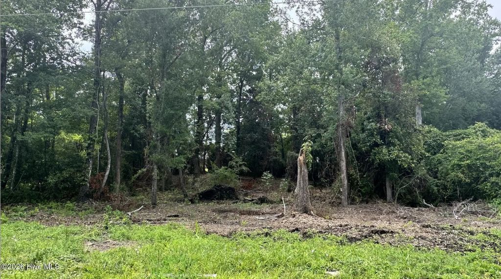 610 Dogwood Lane, Wilmington
