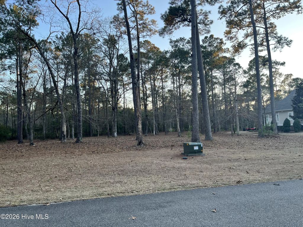 822 Loblolly Drive Sw, Shallotte