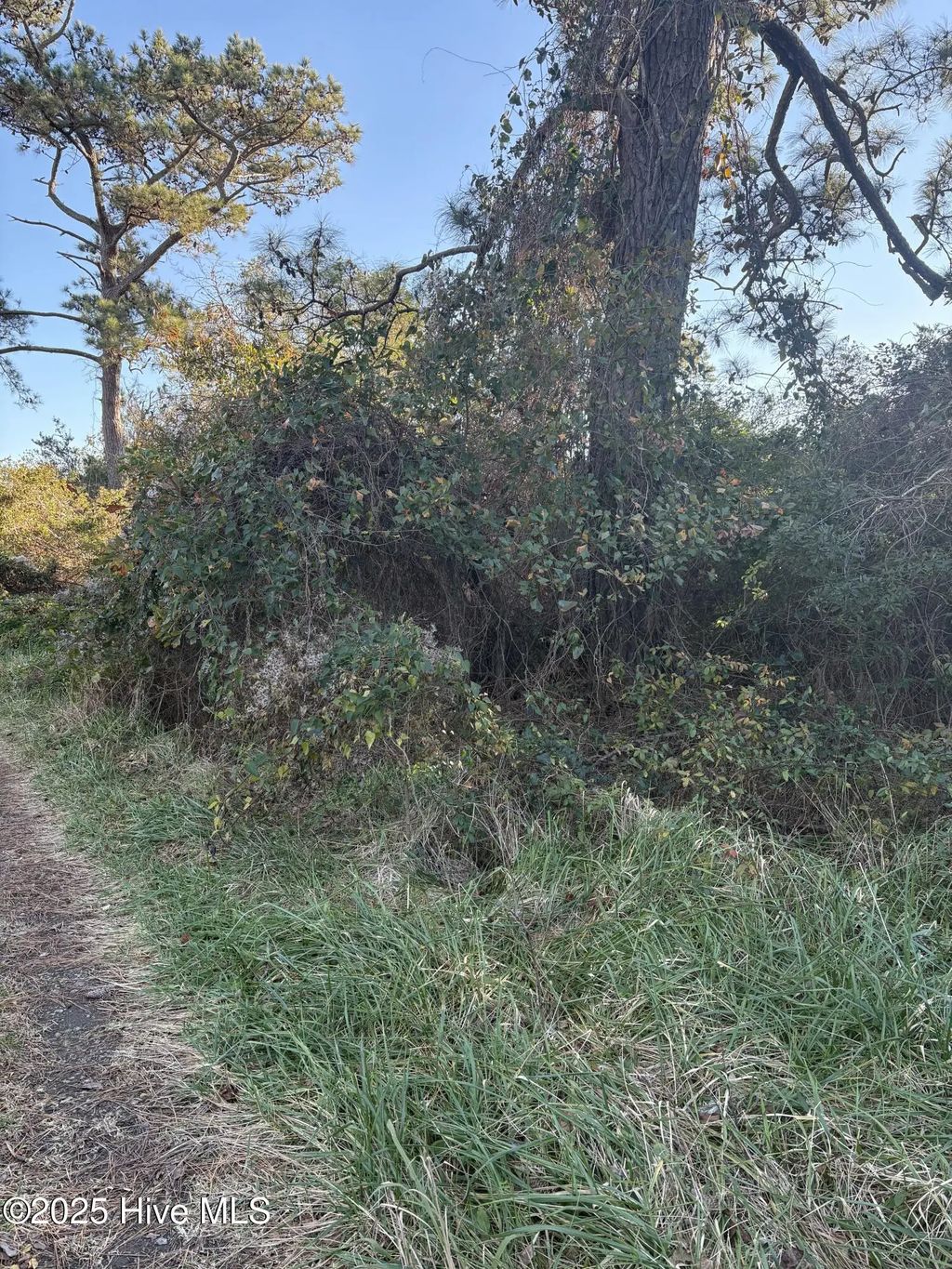 196 Styron Creek Road, Sea Level