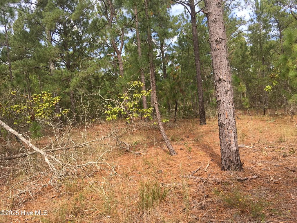 Tbd Plank Road, Robbins