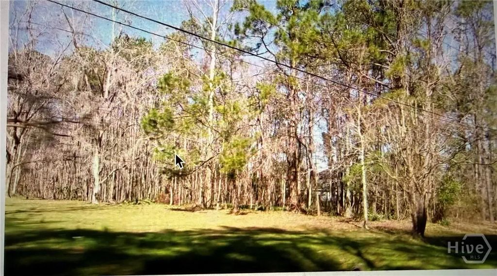 0 & 2065 Grove Point Road, Savannah