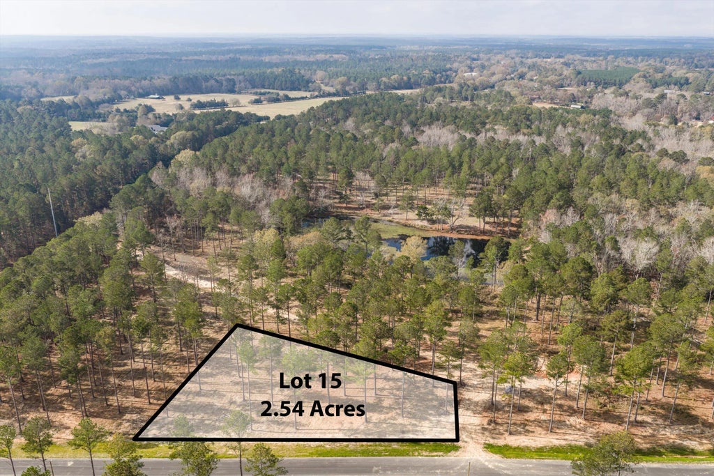 128 Beagle Chase Drive, Appling