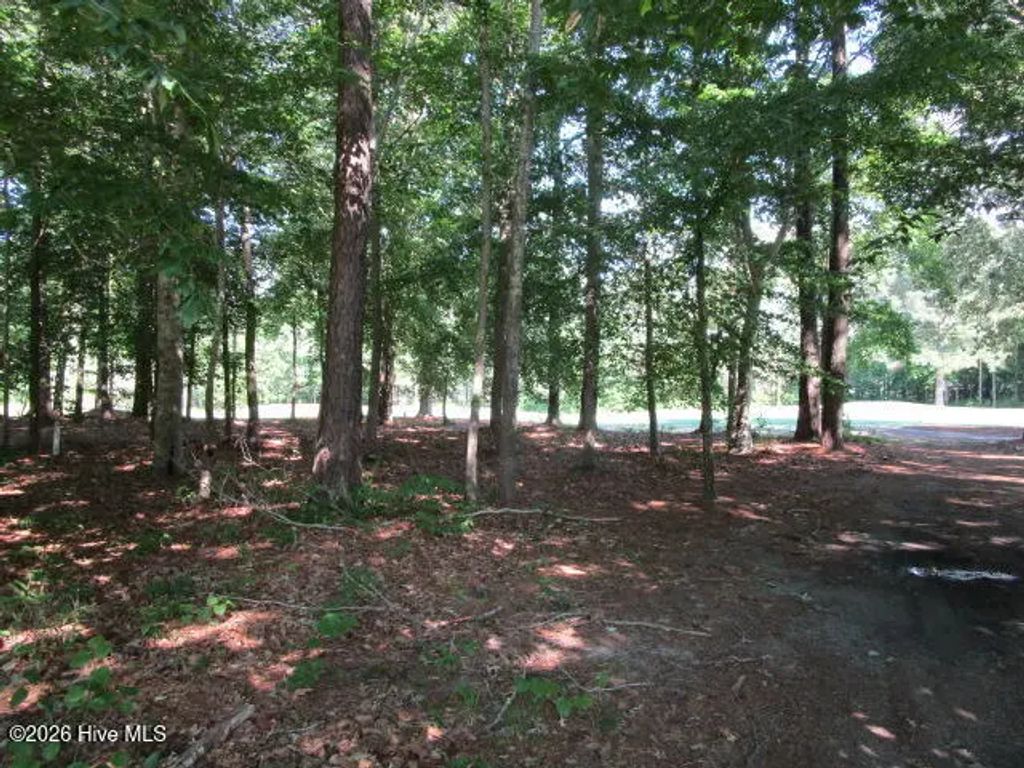 Lot 1 Roanoke Drive W, Hertford