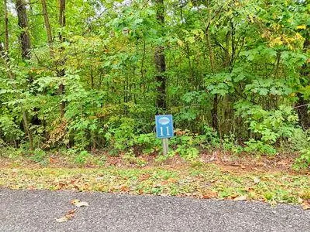 Lot 11 Skyview Drive, Shooting Creek