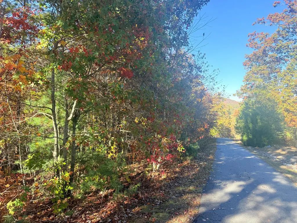 Lot 25 Hideaway Ridge Drive, Murphy