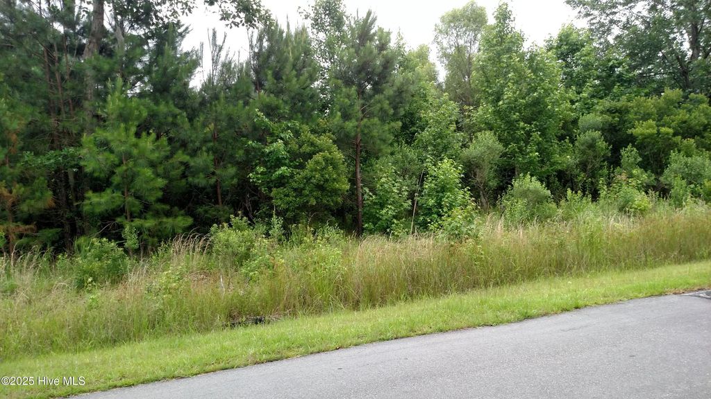 212 Plumtree Circle, Edenton