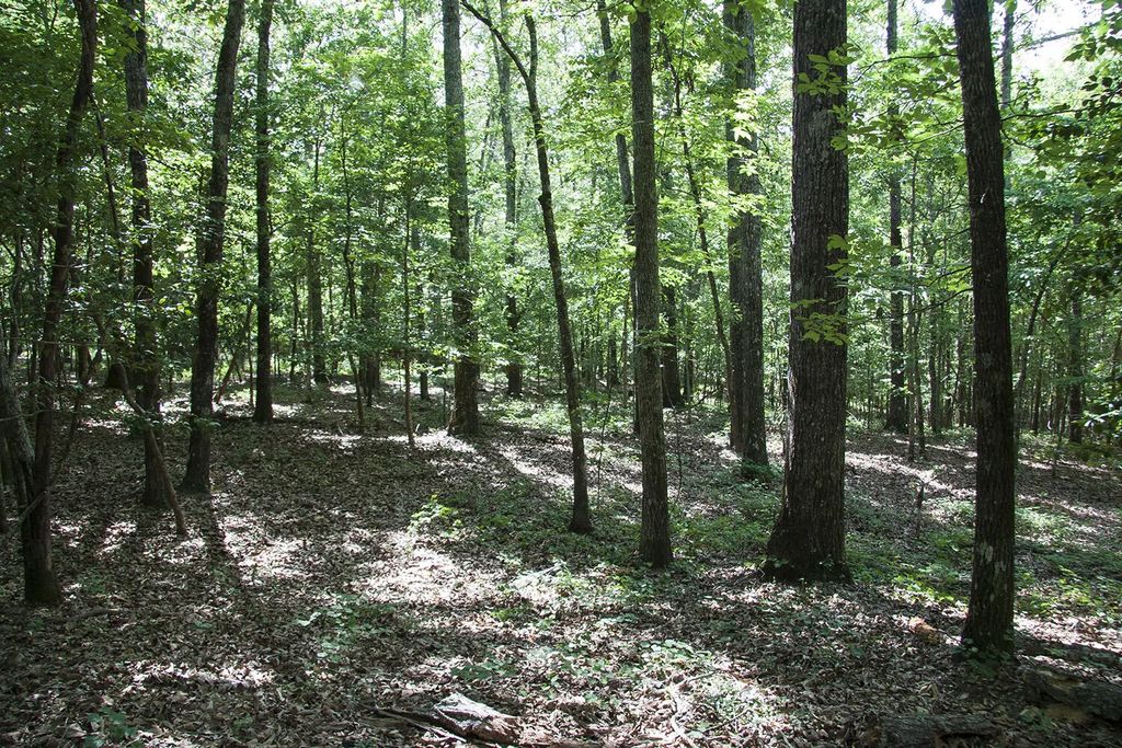 1515c Hephzibah - Mcbean Road, Richmond