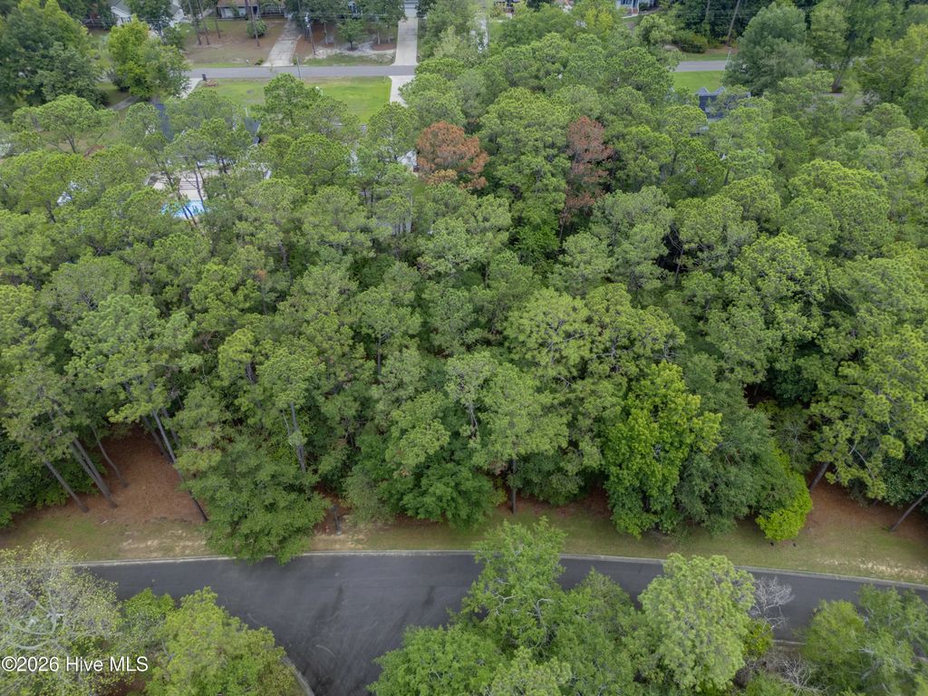 3716 Pine Brook Trail, Shallotte