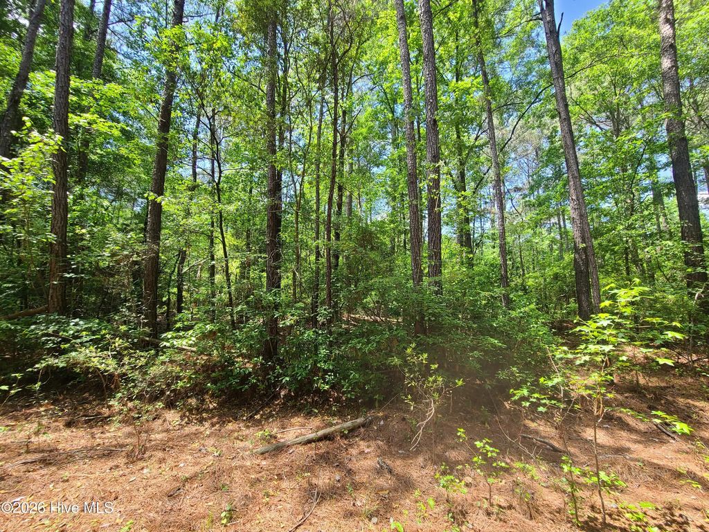 55 Mable Street, Kinston
