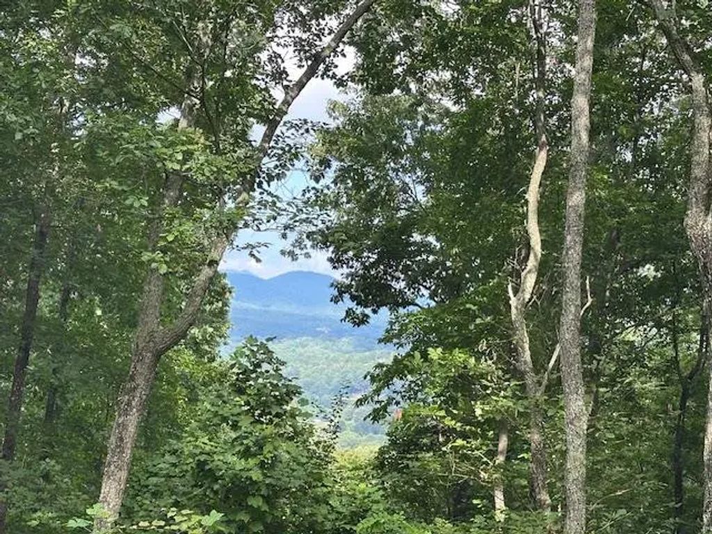 Lt 64/65 Rocky Knob Estates, Towns