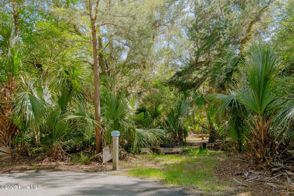 6 Gray Fox Court, Bald Head Island