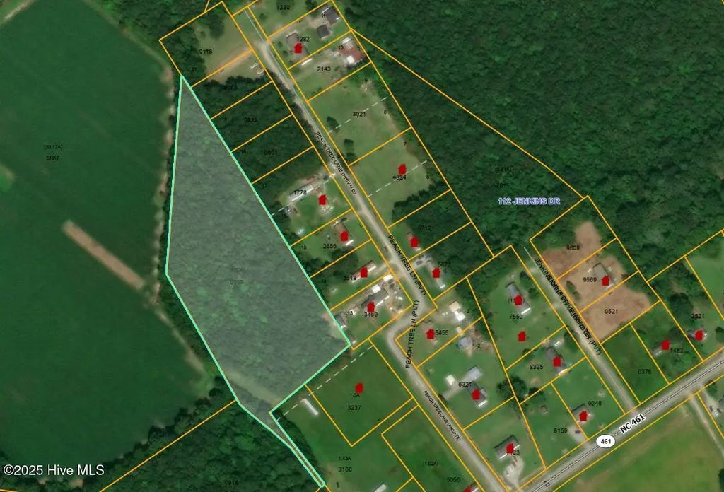 0 Peach Tree Lane, Ahoskie