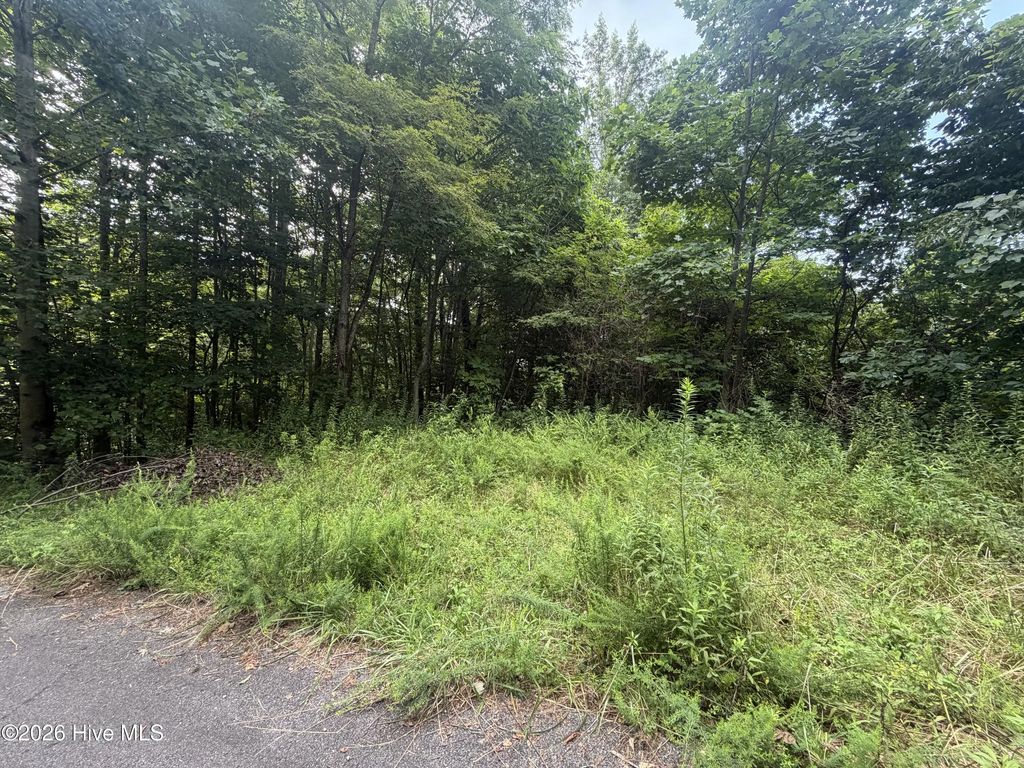 Lot# 30 Highlander Road, Topton