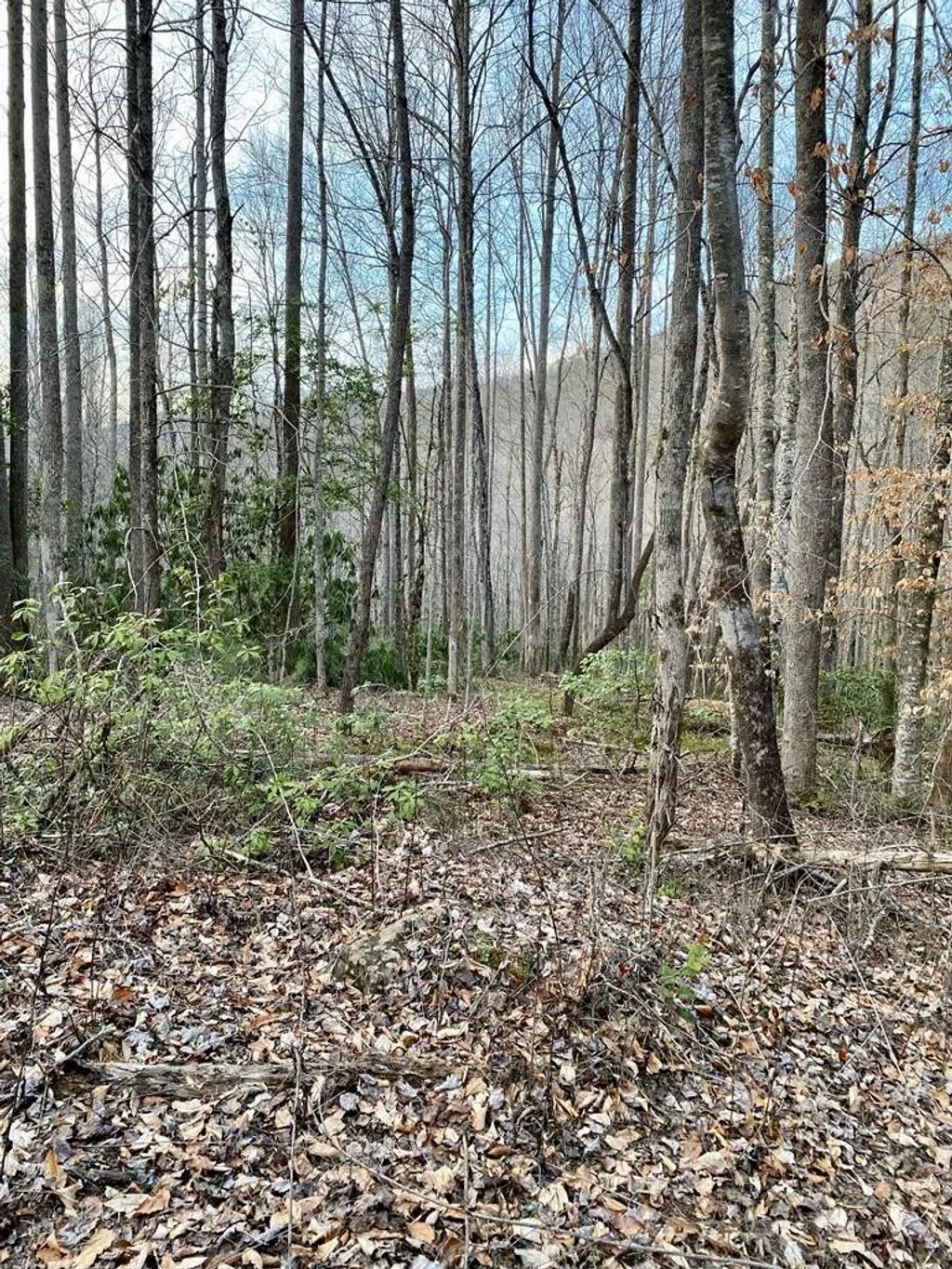 00 Carringer Road, Yellow Creek
