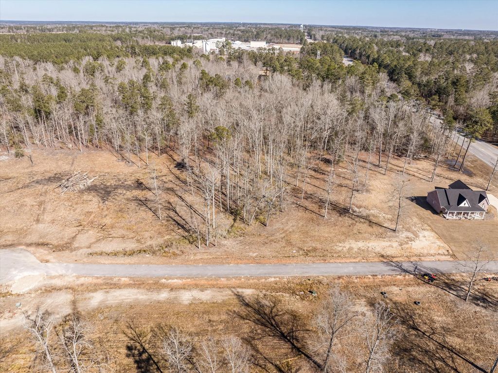 156 Alcovy Road, McDuffie