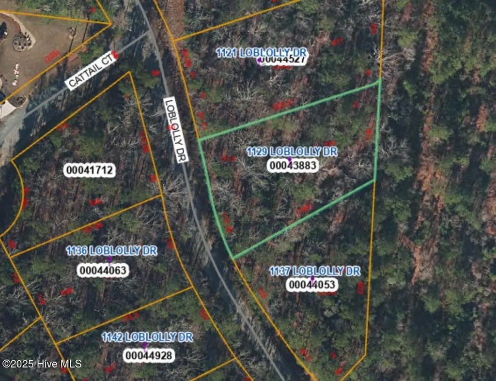 1129 Loblolly Drive, Vass