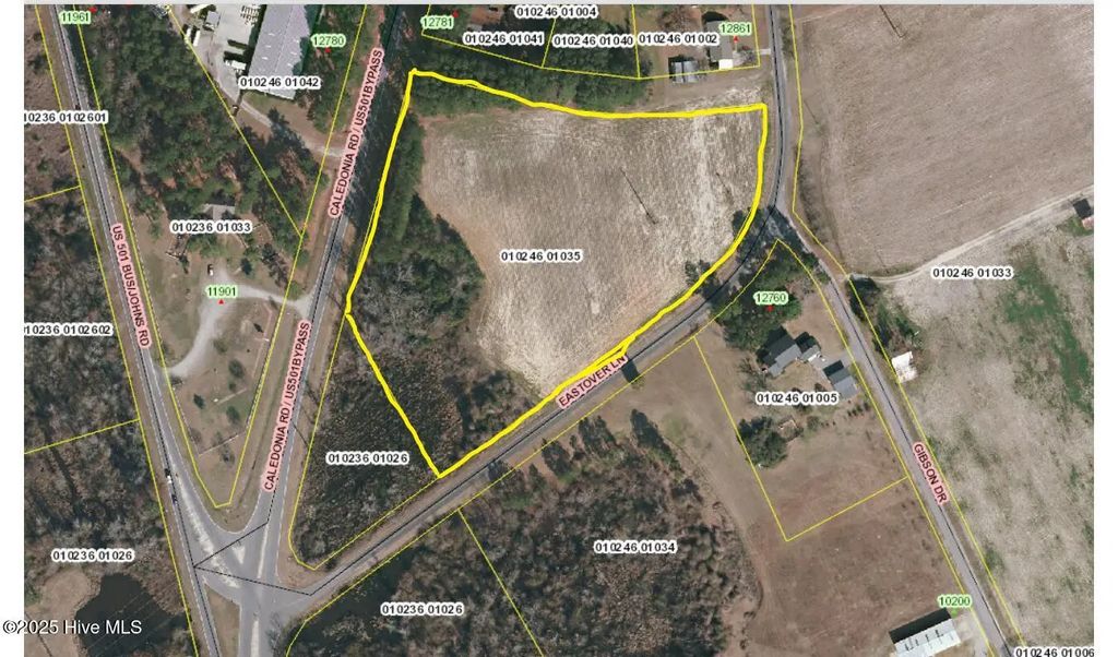Tbd S Caledonia Road, Laurinburg