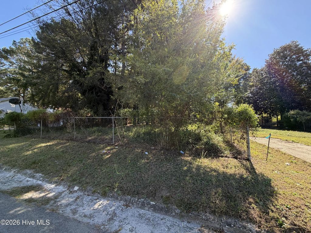311 Henry Street, Rocky Mount