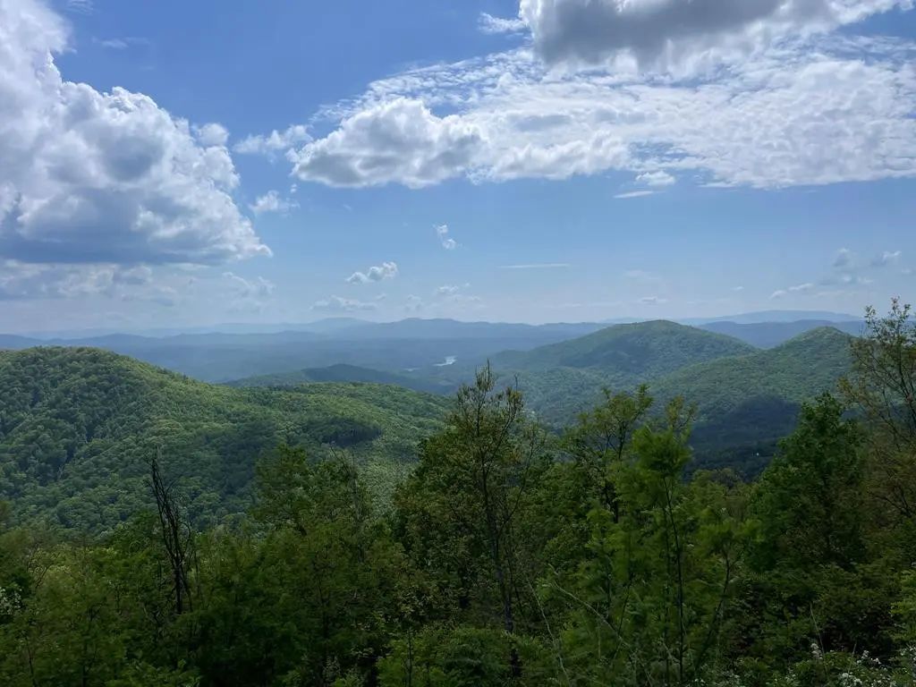 0 Burrell Mountain Road, Shoal Creek
