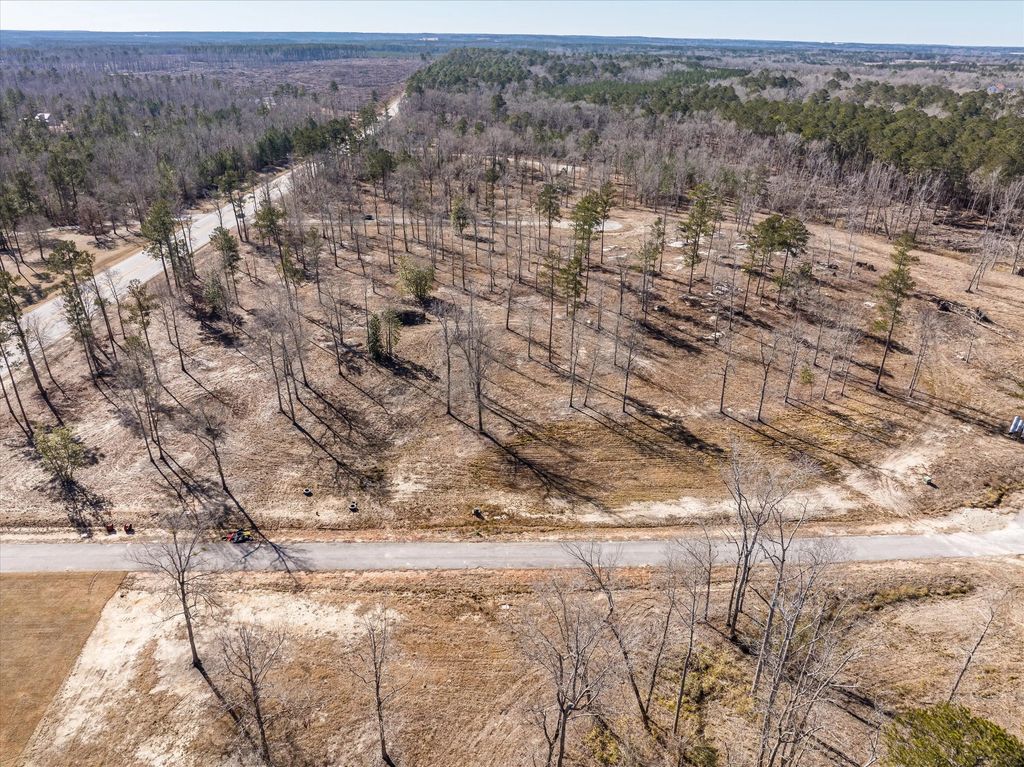 155 Alcovy Road, McDuffie