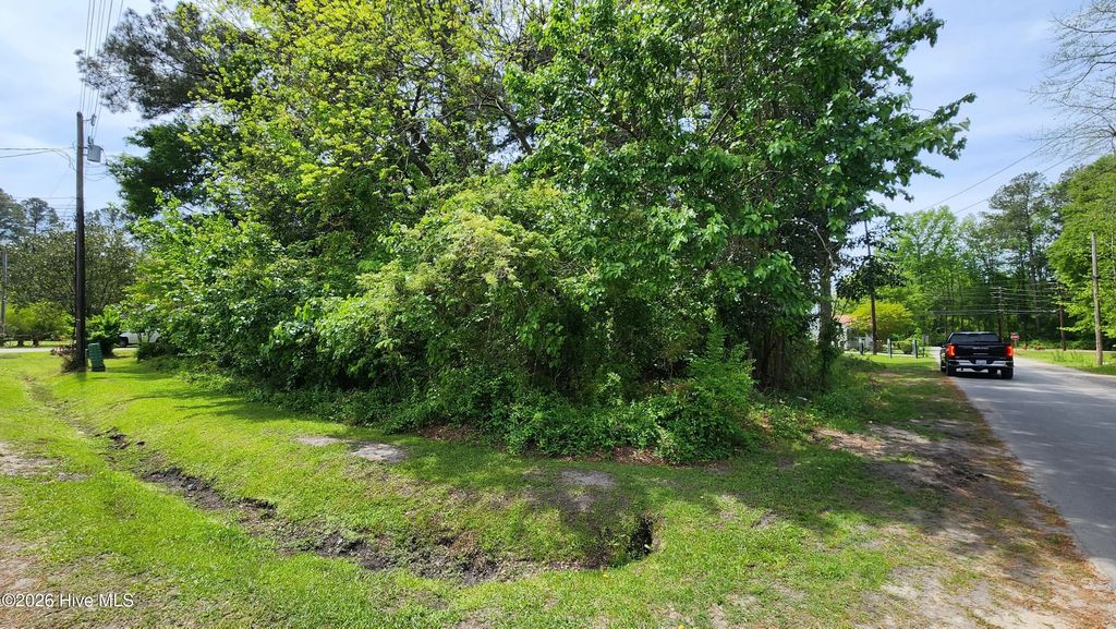 15-20 W Near 108 Jackson Street, Chadbourn