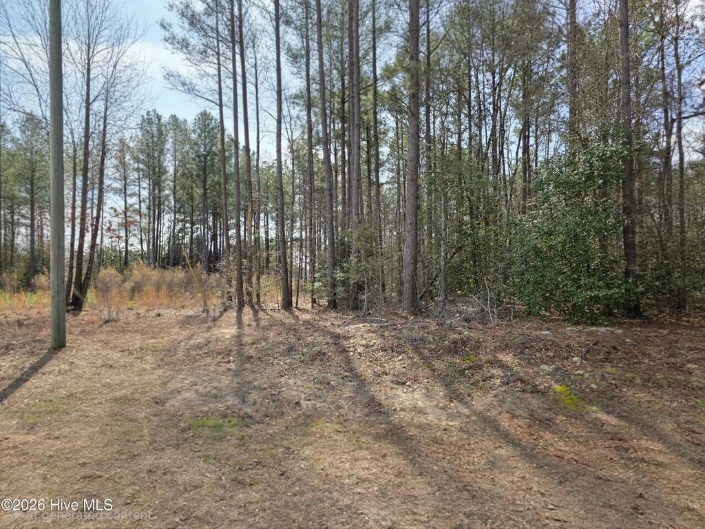 275 Raynor Sands Drive, Dunn
