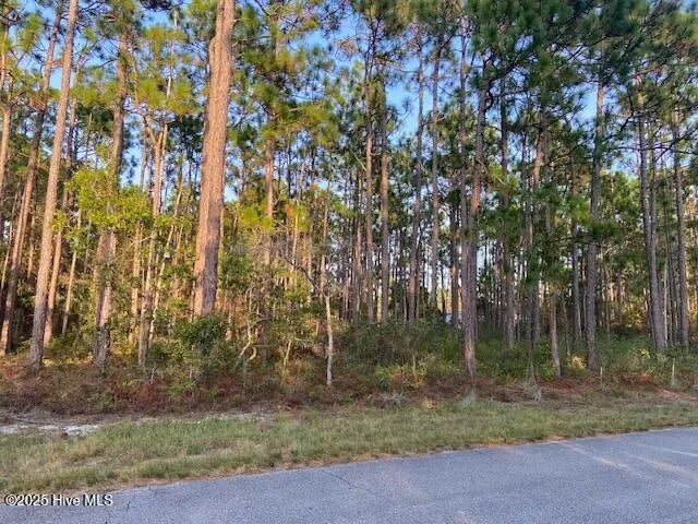 23 Lexington Road, Boiling Spring Lakes