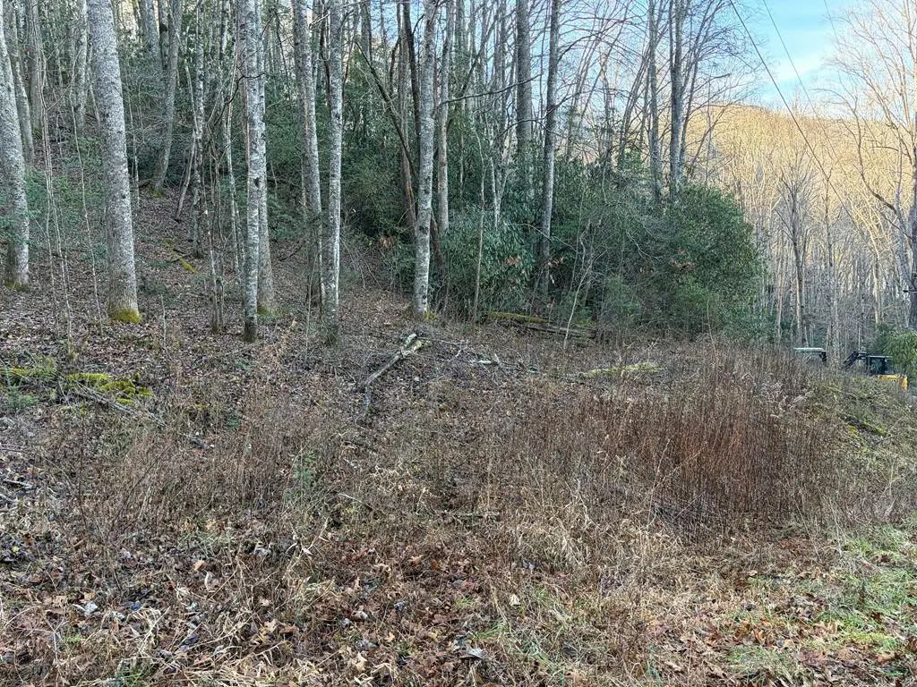 00 Choga Trail, Nantahala