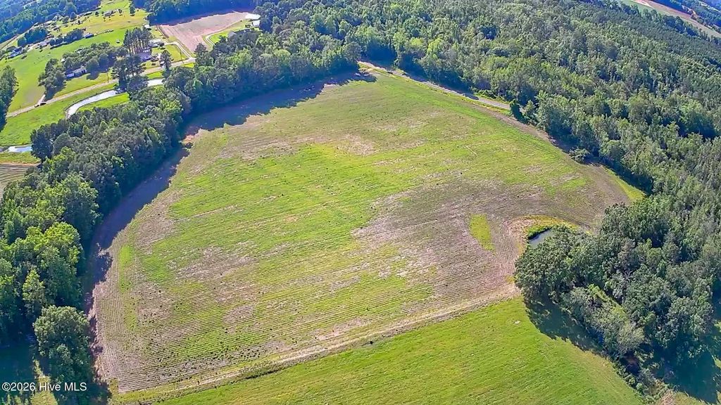 Lot 3 Near 2151 Dolph Lewi Road, Cerro Gordo