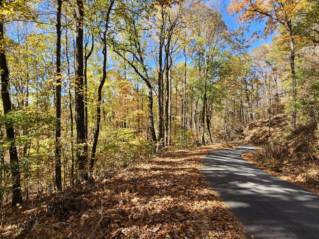 0 Confederate Drive, Other