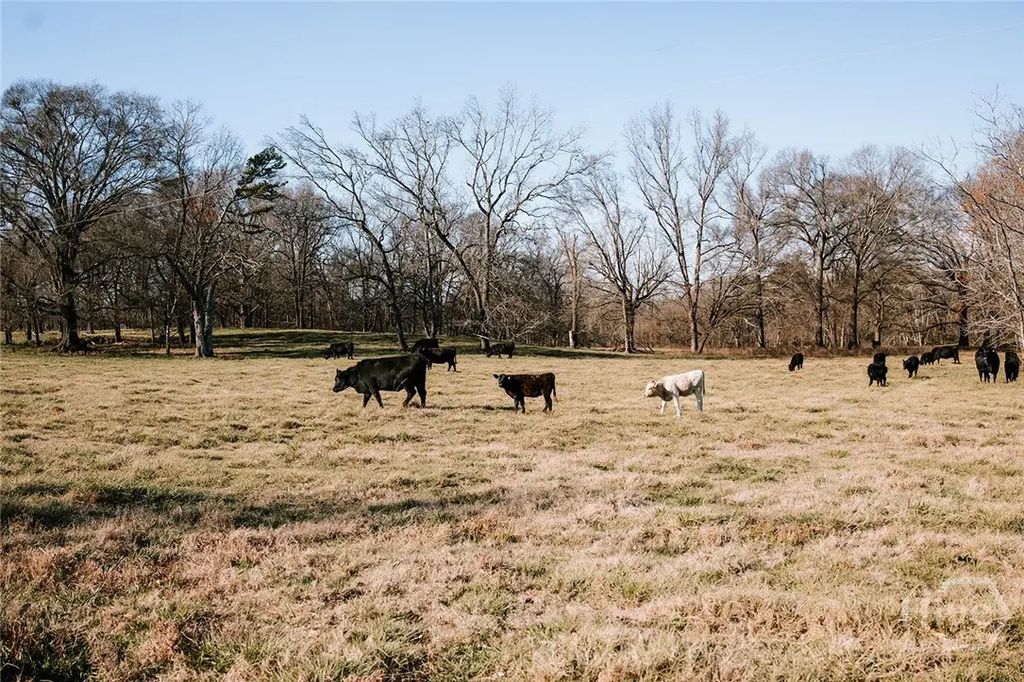 0 Ralph Bridges Road, Lexington