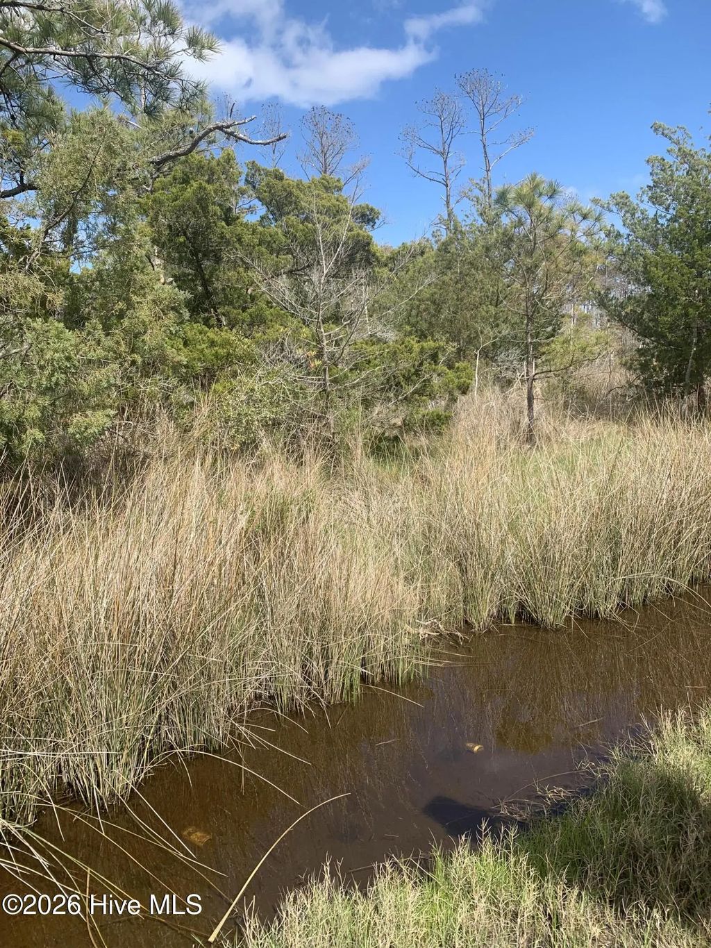 505 Shell Hill Road, Sea Level