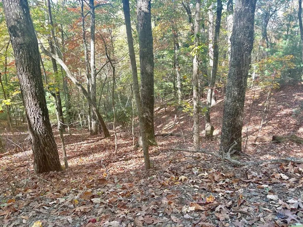 Lot 4 Ridgeline, Sweetwater