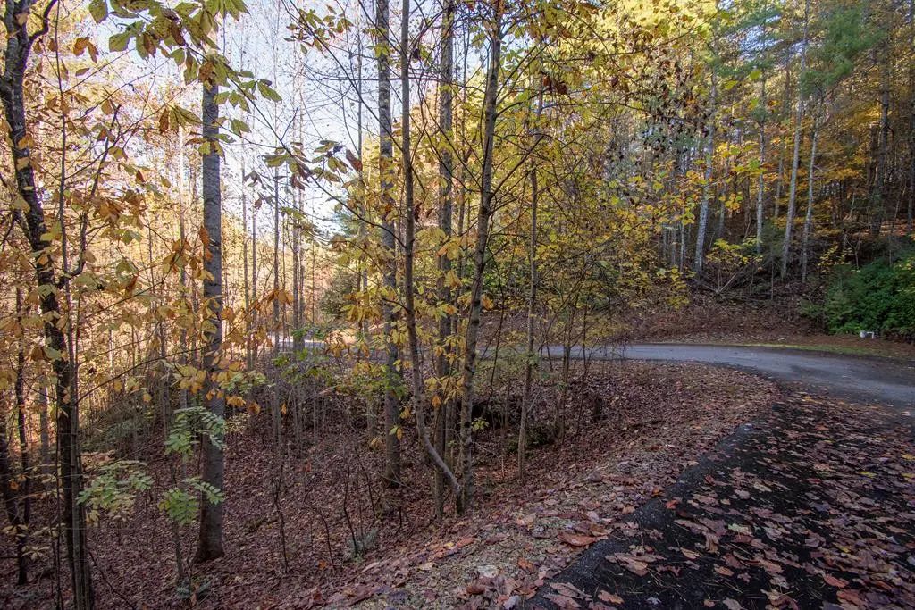 66 Choctaw Ridge Trail, Murphy