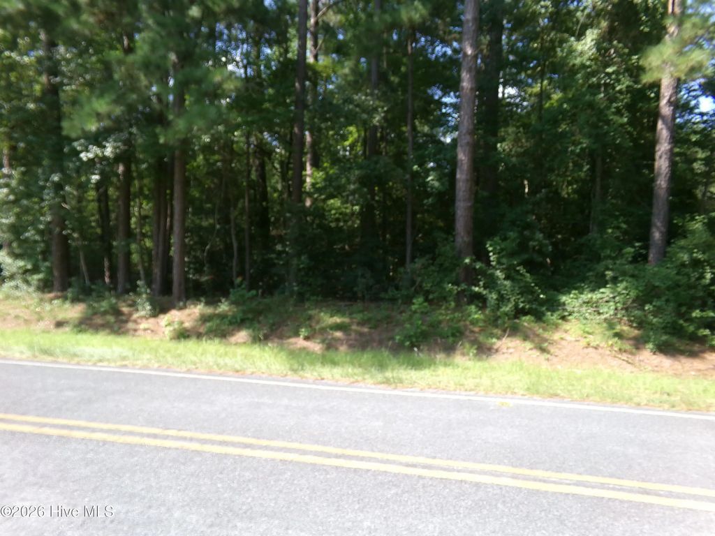 0 1701 State Road, Clarkton