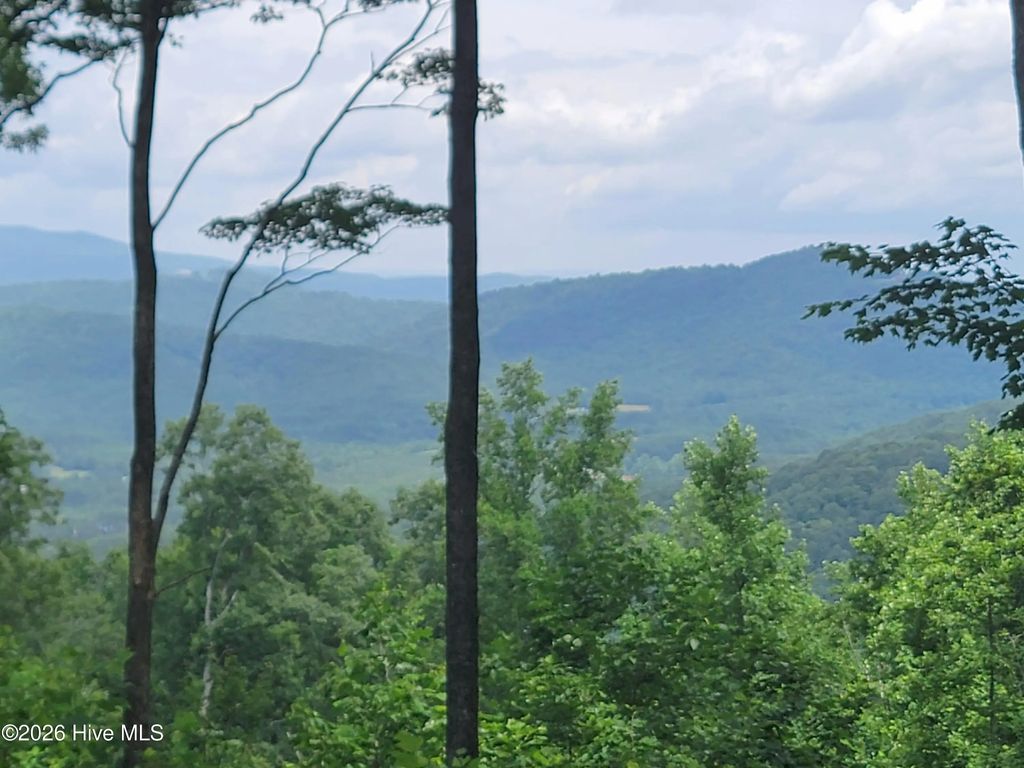Lot 81 Scenic Mountain Way, Murphy