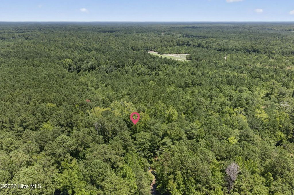 540 Copperhead Lane, Burgaw