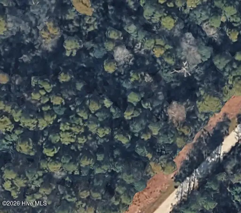 0 Maple Road, Boiling Spring Lakes